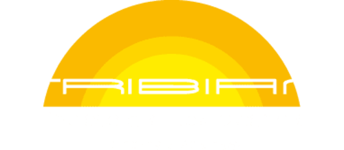 Elektro- & Gebäudetechnik Tribian GmbH
